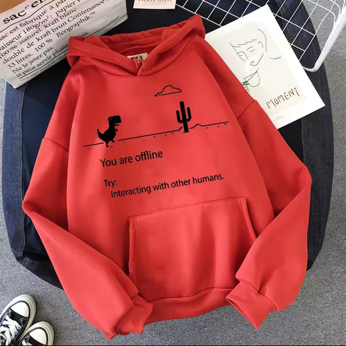 You are offline Hoodie