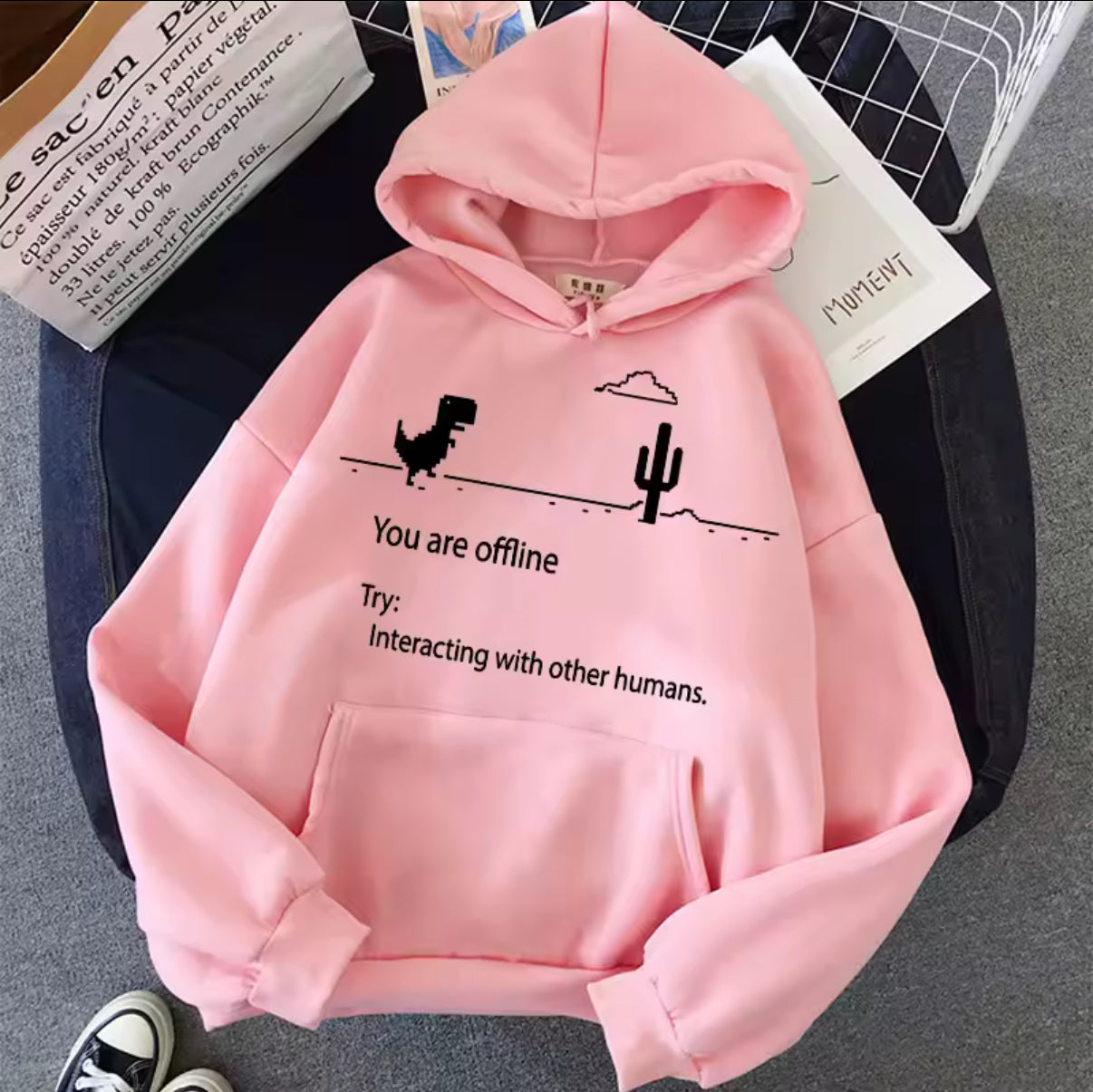 You are offline Hoodie
